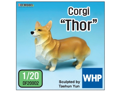 Corgi Thor - zdjęcie 1