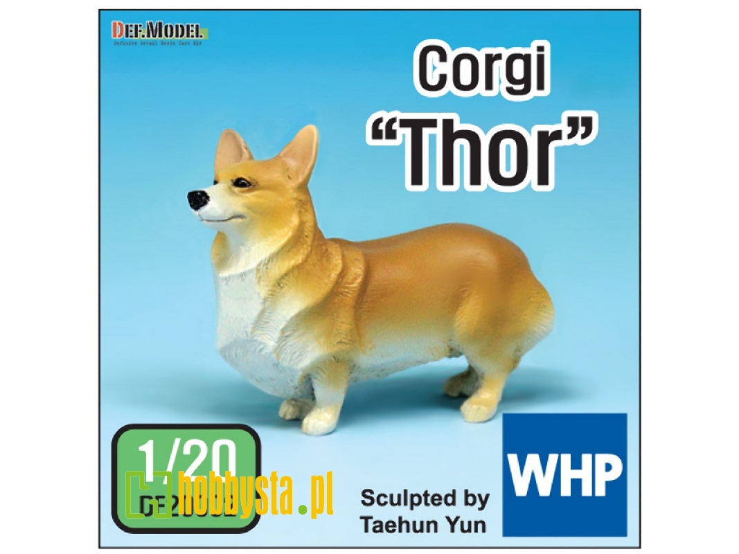 Corgi Thor - zdjęcie 1