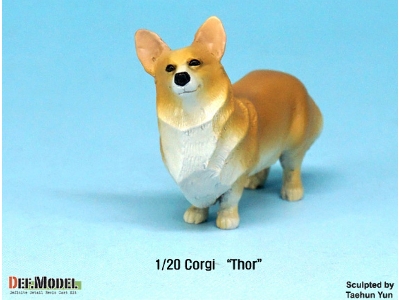 Corgi Thor - zdjęcie 2