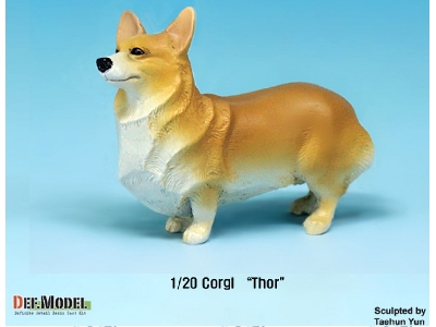 Corgi Thor - zdjęcie 3