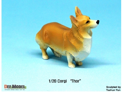 Corgi Thor - zdjęcie 4