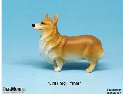 Corgi Thor - zdjęcie 6