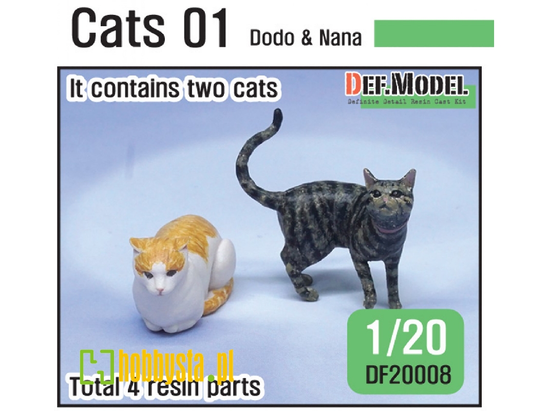 Cats Dodo & Nana - zdjęcie 1 Cats Dodo & Nana - zdjęcie 1