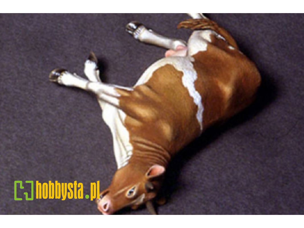 Dead Cow - zdjęcie 1 Dead Cow - zdjęcie 1