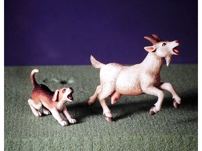 Goat And Beagle - zdjęcie 1