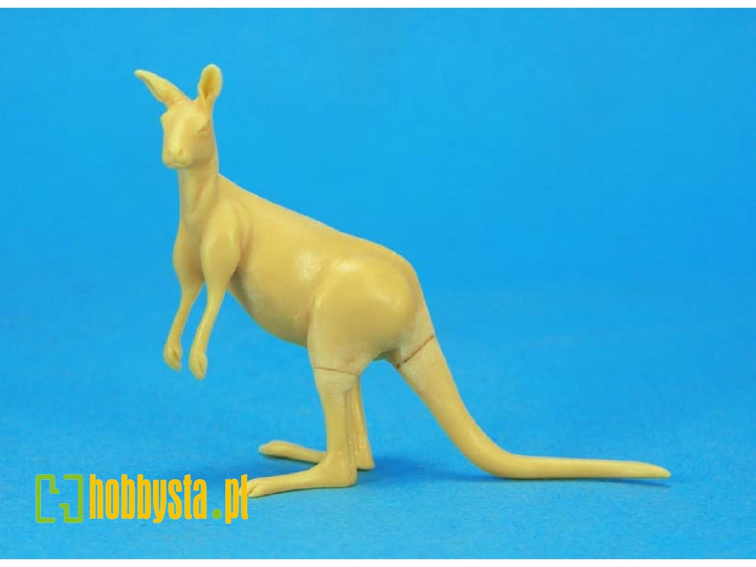 Kangaroo - zdjęcie 1