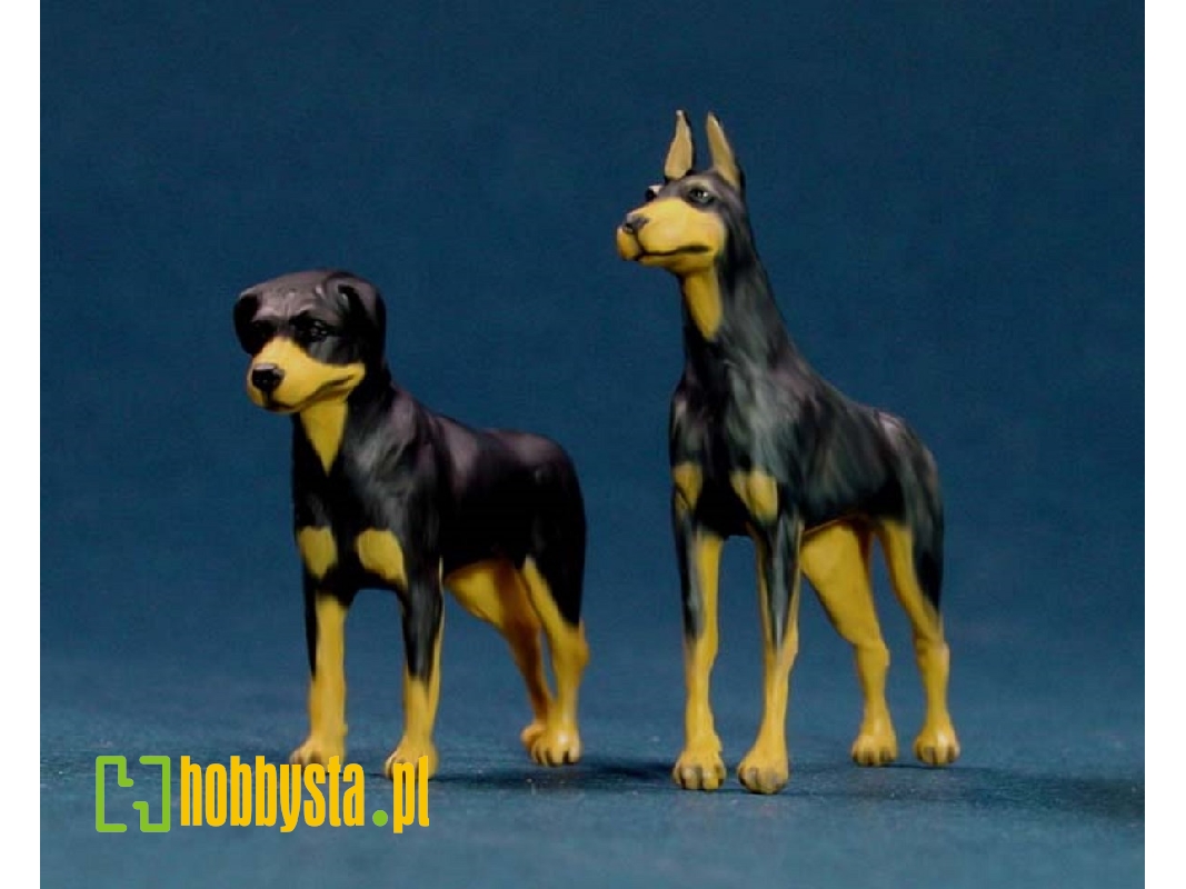 Dogs Set X2 - zdjęcie 1 Dogs Set X2 - zdjęcie 1