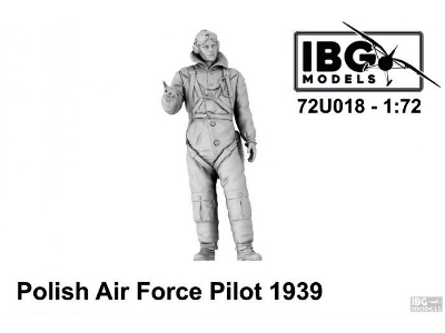 Polish Air Force Pilot 1939 - zdjęcie 1