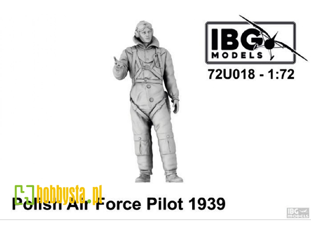 Polish Air Force Pilot 1939 - zdjęcie 1