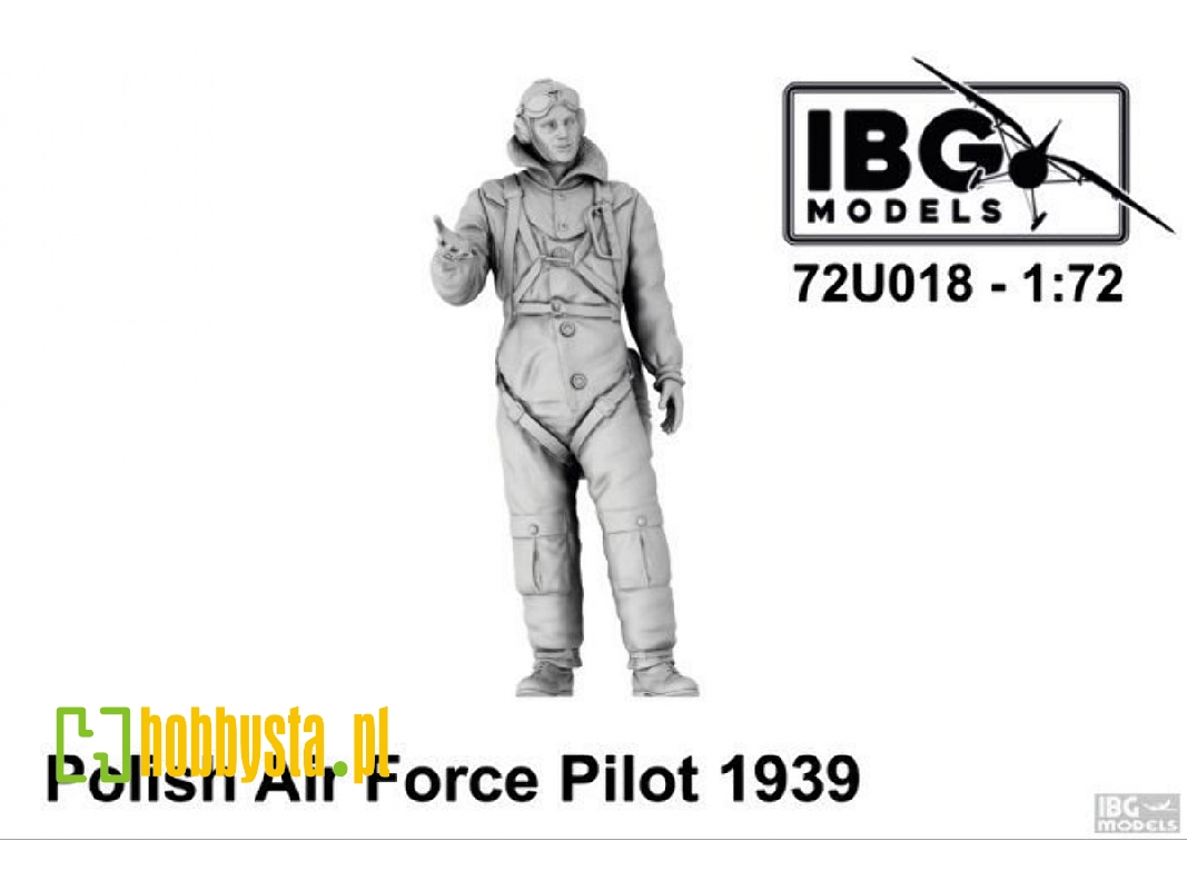 Polish Air Force Pilot 1939 - zdjęcie 1 Polish Air Force Pilot 1939 - zdjęcie 1