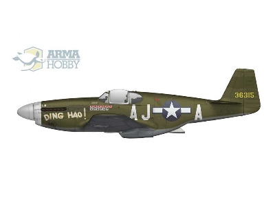 P-51 B/C Mustang - zdjęcie 3