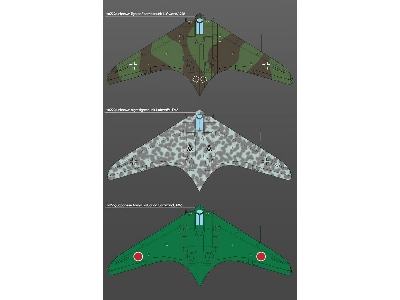 German Horten Ho 229 'wunderwaffe' - zdjęcie 3