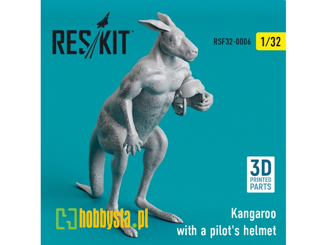Kangaroo With A Pilot's Helmet - zdjęcie 1 Kangaroo With A Pilot's Helmet - zdjęcie 1