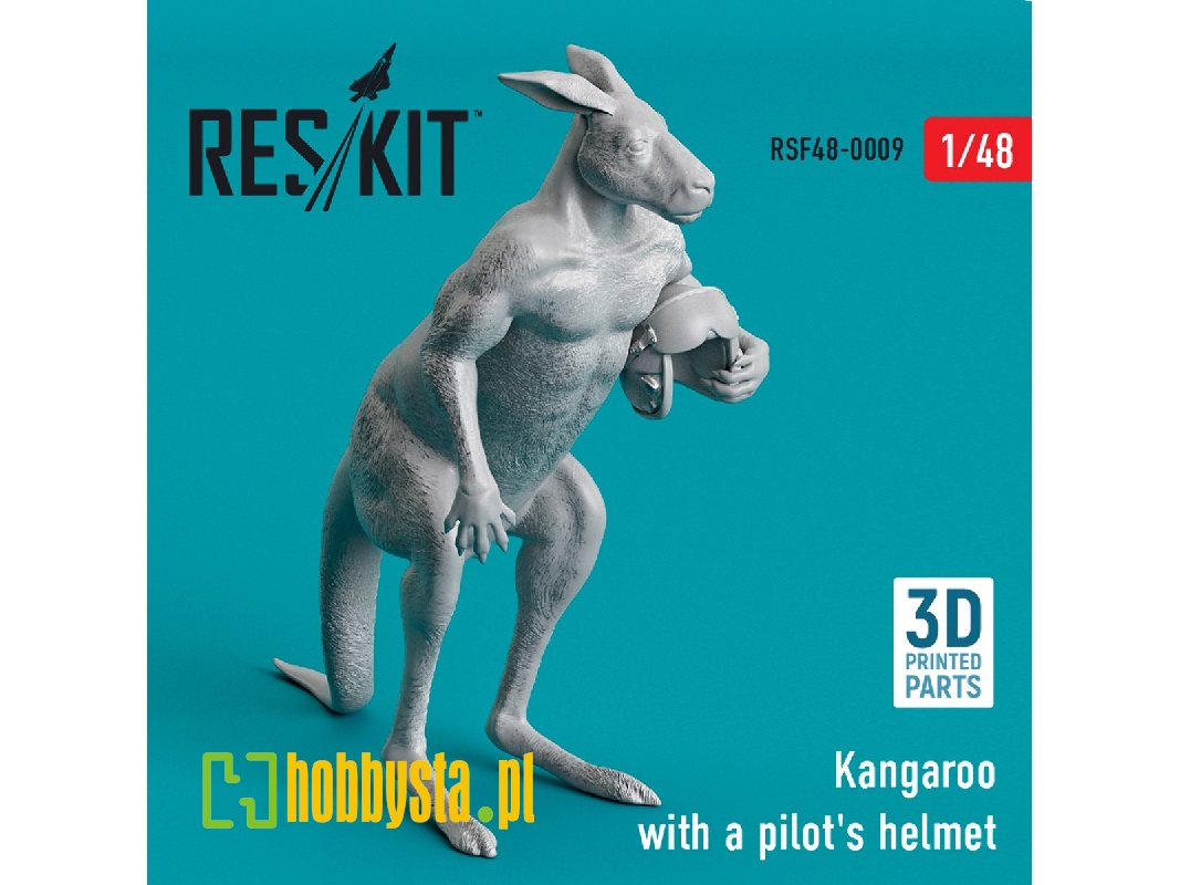Kangaroo With A Pilot's Helmet - zdjęcie 1
