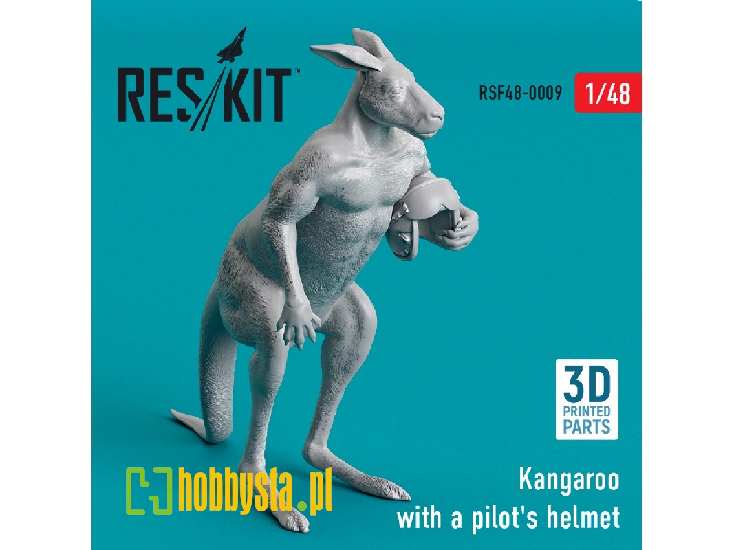 Kangaroo With A Pilot's Helmet - zdjęcie 1 Kangaroo With A Pilot's Helmet - zdjęcie 1