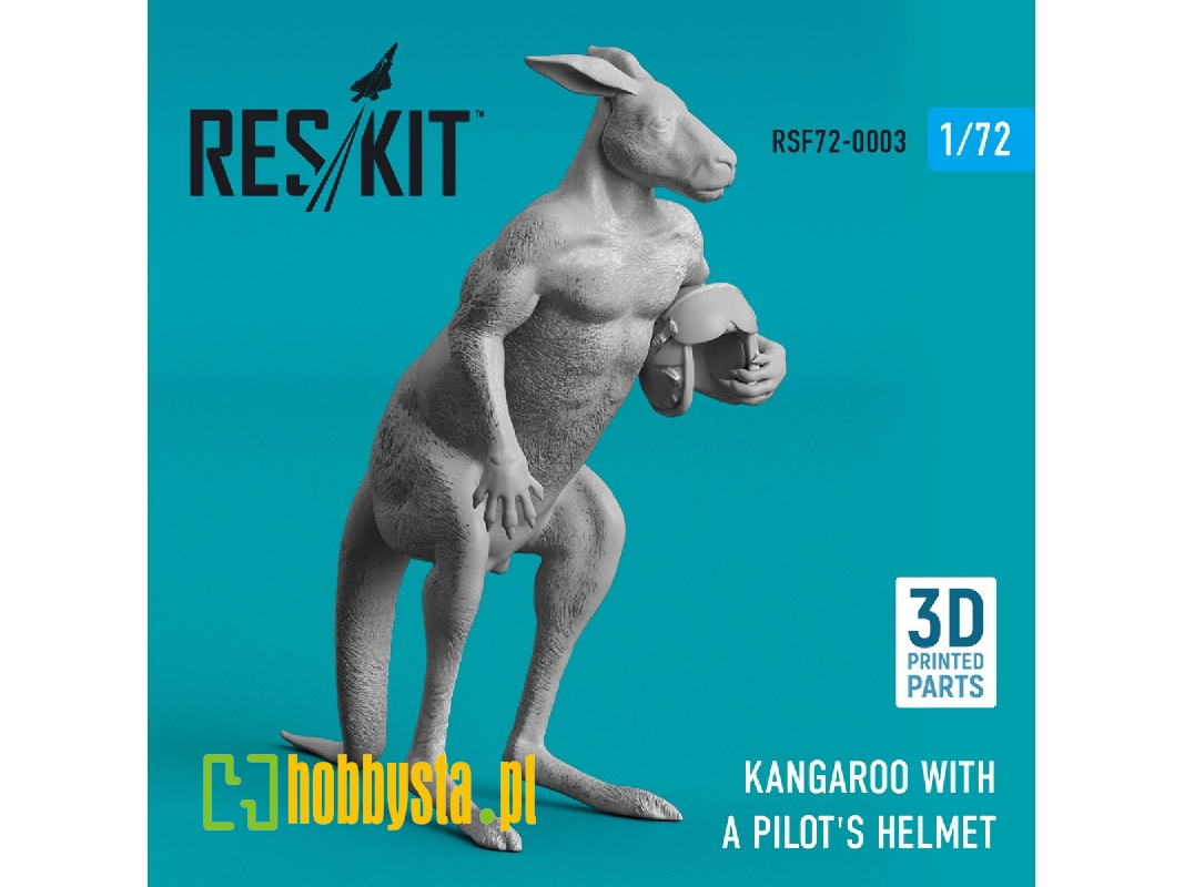 Kangaroo With A Pilot's Helmet - zdjęcie 1 Kangaroo With A Pilot's Helmet - zdjęcie 1