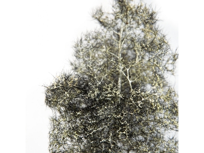 Fantasy Bushes - Black-white - zdjęcie 2