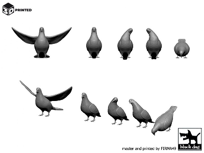 Pigeons (10pcs) - zdjęcie 2