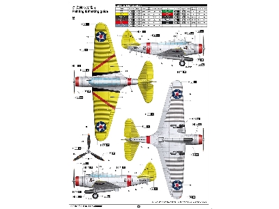 Tbd-1 Devastator - zdjęcie 5