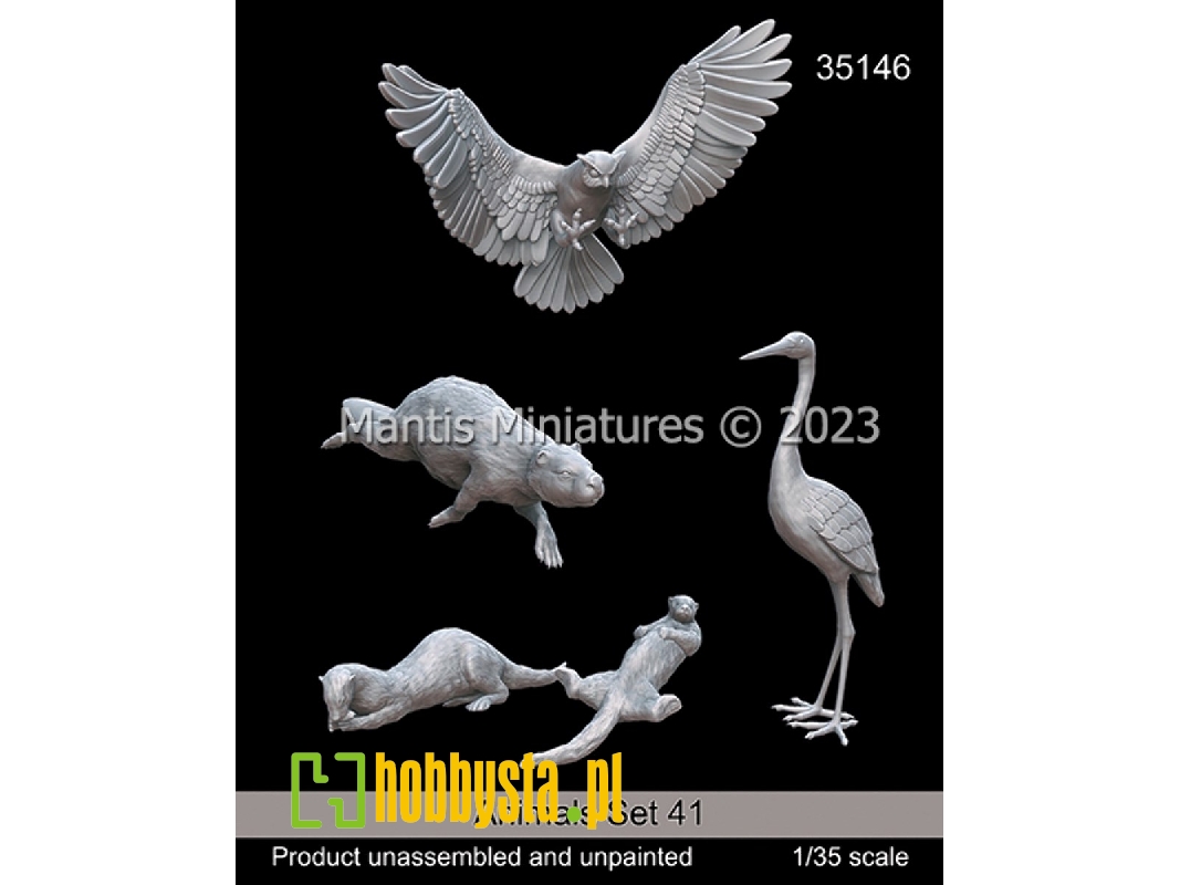 Animals Set 41 - zdjęcie 1 Animals Set 41 - zdjęcie 1