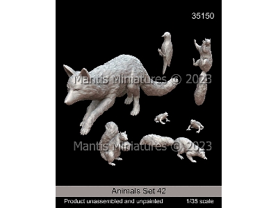 Animals Set 42 - zdjęcie 1