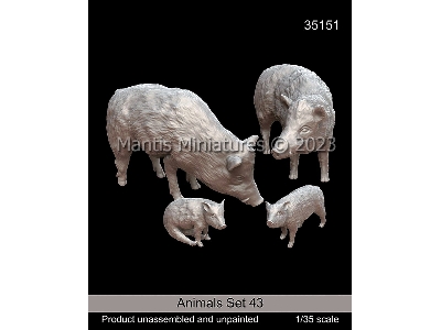Animals Set 43 - zdjęcie 1
