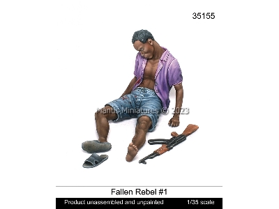 Fallen Rebel #1 - zdjęcie 1
