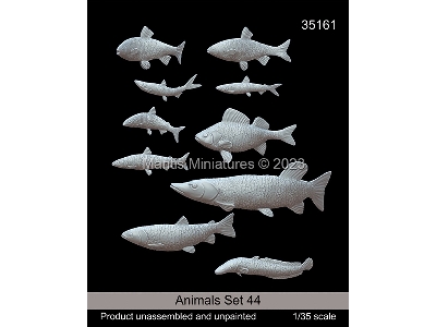 Animals Set 44 - zdjęcie 1