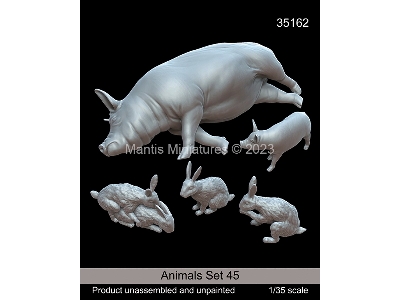 Animals Set 45 - zdjęcie 1