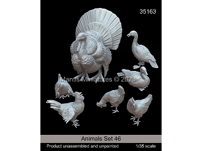 Animals Set 46 - zdjęcie 1