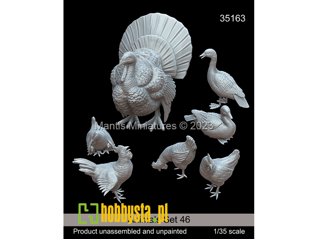 Animals Set 46 - zdjęcie 1 Animals Set 46 - zdjęcie 1