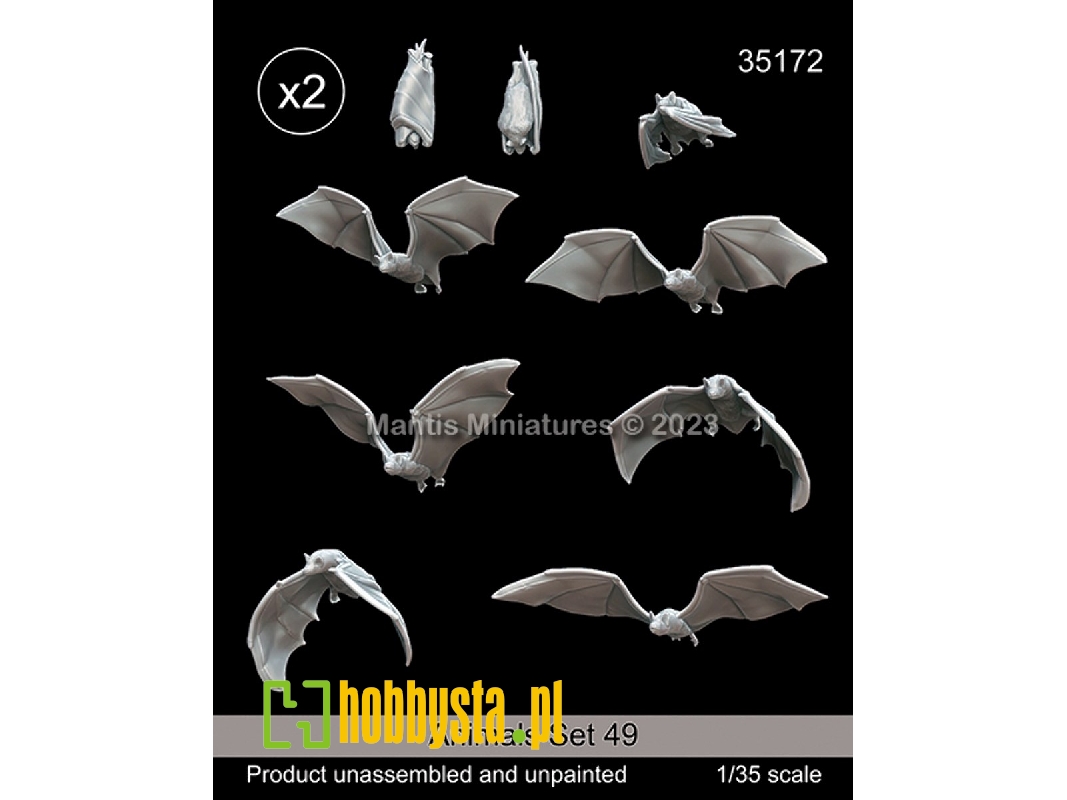 Animals Set 49 - zdjęcie 1 Animals Set 49 - zdjęcie 1
