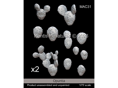 Opuntia - zdjęcie 1