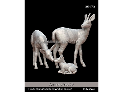 Animals Set 50 - zdjęcie 1