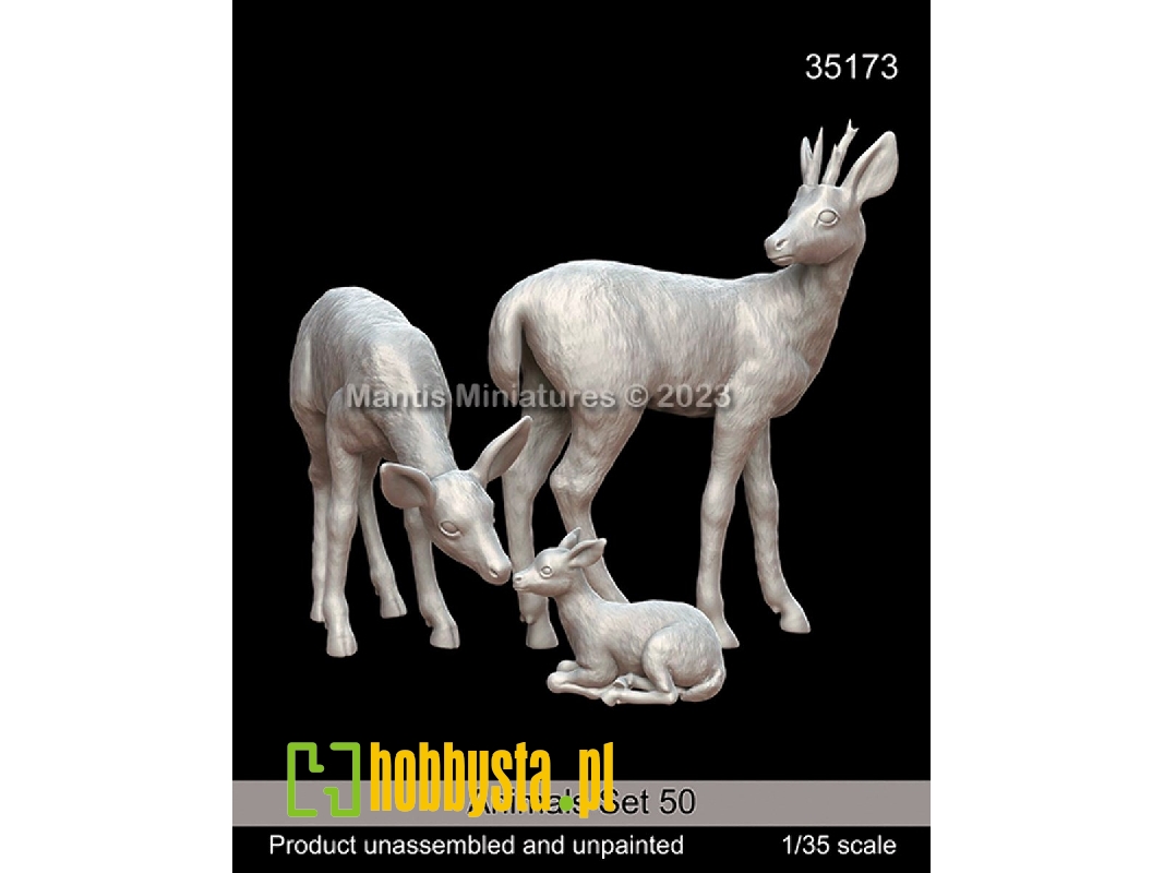 Animals Set 50 - zdjęcie 1 Animals Set 50 - zdjęcie 1