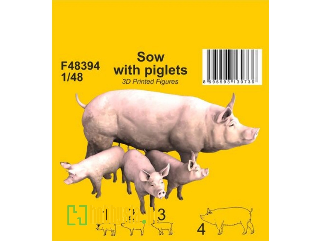 Sow With Piglets - zdjęcie 1