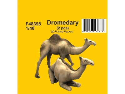 Dromedary (2 Pcs) - zdjęcie 1