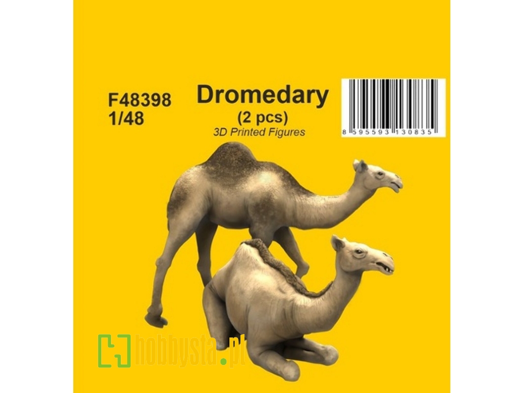 Dromedary (2 Pcs) - zdjęcie 1 Dromedary (2 Pcs) - zdjęcie 1