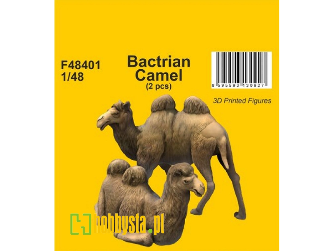 Bactrian Camel (2pcs) - zdjęcie 1 Bactrian Camel (2pcs) - zdjęcie 1