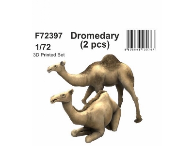 Dromedary (2pcs) - zdjęcie 1