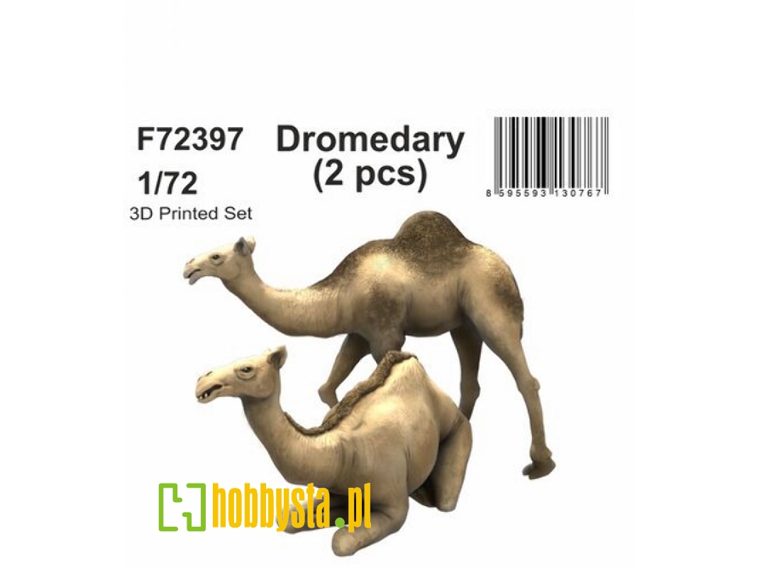 Dromedary (2pcs) - zdjęcie 1 Dromedary (2pcs) - zdjęcie 1