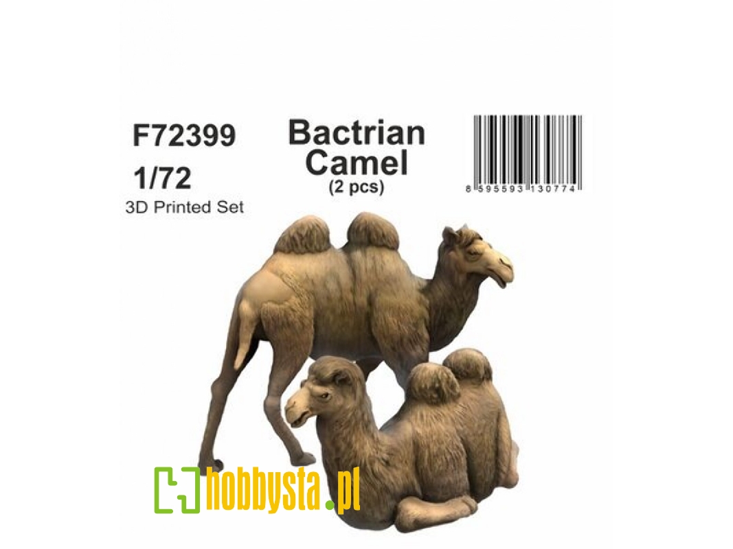 Bactrian Camel (2pcs) - zdjęcie 1 Bactrian Camel (2pcs) - zdjęcie 1