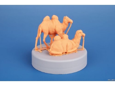 Bactrian Camel (2pcs) - zdjęcie 3