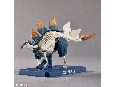 Planosaurus - Stegosaurus - zdjęcie 10