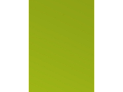 Ff01 - Lime Fixer - zdjęcie 2