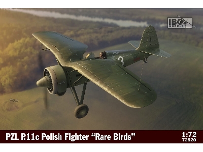 PZL P.11c Polish Fighter Rare Birds - zdjęcie 1