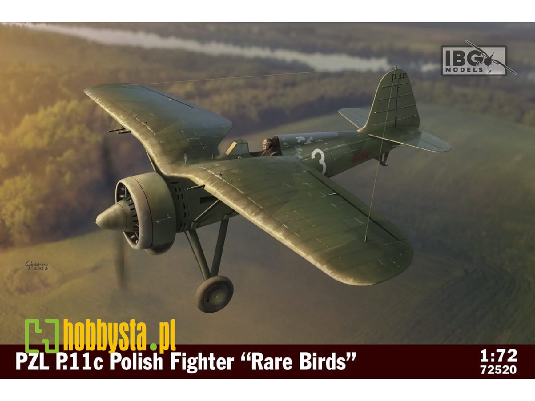PZL P.11c Polish Fighter Rare Birds - zdjęcie 1