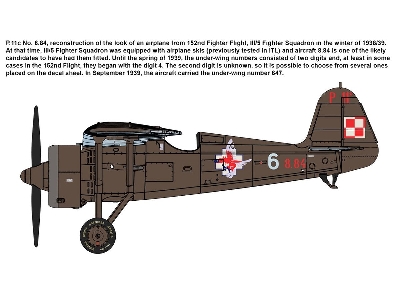 PZL P.11c Polish Fighter Rare Birds - zdjęcie 4