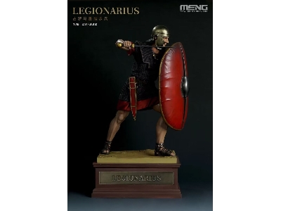 The Roman Legionary Ready For Battle - zdjęcie 1
