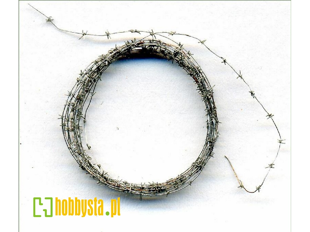 Barbed Wire 1000 Mm (Metall) - zdjęcie 1 Barbed Wire 1000 Mm (Metall) - zdjęcie 1